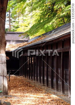 長野縣諏訪市天長神社的秋葉 長野縣諏訪市天長神社的秋葉 133530730