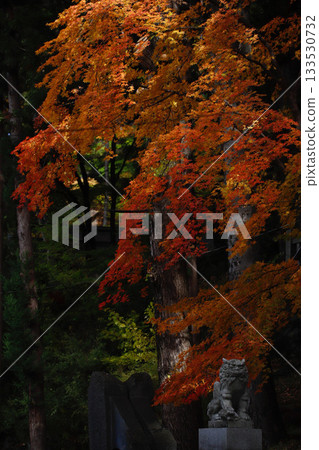 長野縣諏訪市天長神社:秋葉與守護獅像 長野縣諏訪市天長神社:秋葉與守護獅像 133530732