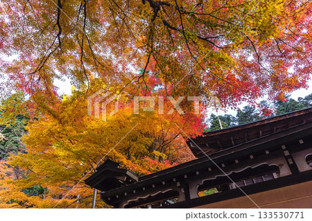 251117 城山公園 z016 133530771