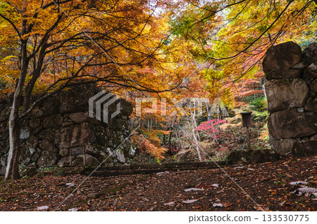251117 城山公園 z040 251117 城山公園 z040 133530775