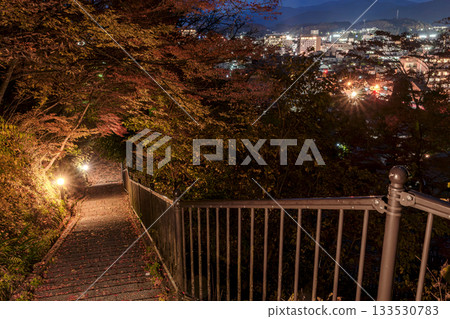 251117 城山公園 z056 133530783