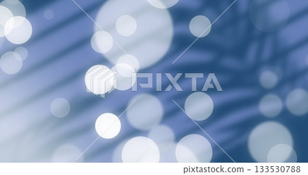 Displaying abstract pattern melding soft light orbs and palm shadows in graphic backdrop with bokeh 133530788