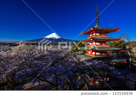【山梨縣富士吉田市】四月,富士山在黎明時分與荒倉山淺間公園盛開的櫻花交相輝映。 【山梨縣富士吉田市】四月,富士山在黎明時分與荒倉山淺間公園盛開的櫻花交相輝映。 133530936