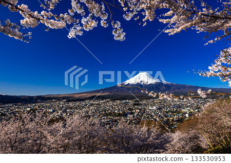 【山梨縣富士吉田市】四月,富士山在黎明時分與荒倉山淺間公園盛開的櫻花交相輝映。 【山梨縣富士吉田市】四月,富士山在黎明時分與荒倉山淺間公園盛開的櫻花交相輝映。 133530953