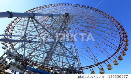 摩天輪（Kasai Rinkai Park） 133530977