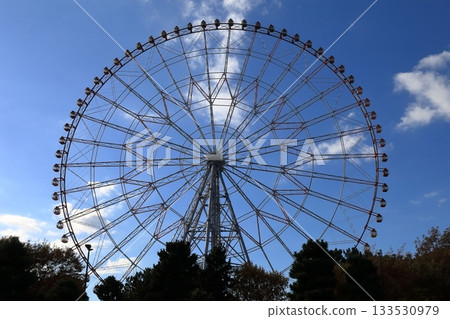 Ferris wheel (Kasai Rinkai Park) Ferris wheel (Kasai Rinkai Park) 133530979