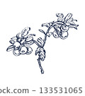 Cowberry hand drawn illustration. Retro sketch style vector illustration. Perfect for invitation, wedding or greeting cards. 133531065