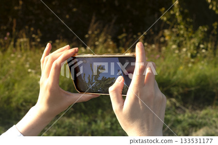 Hands holding smartphone taking photo. Mobile device camera capturing plants and nature in sunlight, Hands holding smartphone taking photo. Mobile device camera capturing plants and nature in sunlight, 133531177