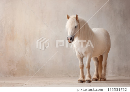 Portrait of a miniature horse standing on a white background | Simple material of a cute animal 133531732