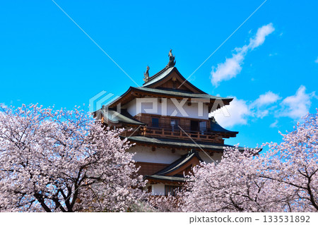 Spring Cherry Blossoms Suwa Takashima Castle 133531892