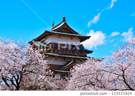 春季櫻花 諏訪高島城 133531924