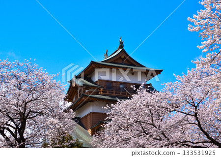 春季櫻花 諏訪高島城 133531925