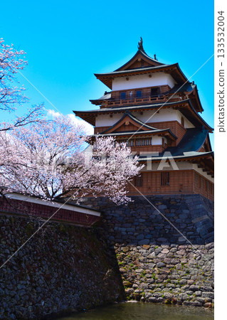 Spring Cherry Blossoms Suwa Takashima Castle Spring Cherry Blossoms Suwa Takashima Castle 133532004