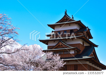 Spring Cherry Blossoms Suwa Takashima Castle 133532077