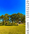 Clear Sky Square 133532129