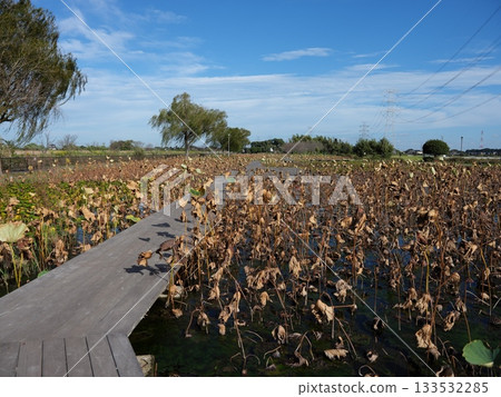 Walking around Tone Town 133532285