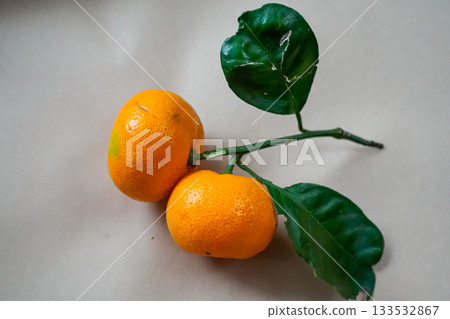 Close-up of two fresh tangerines with a small green twig and leaves on a beige background. Minimal, natural composition suitable for holiday, Christmas, New Year, or fresh fruit themes. Close-up of two fresh tangerines with a small green twig and leaves on a beige background. Minimal, natural composition suitable for holiday, Christmas, New Year, or fresh fruit themes. 133532867