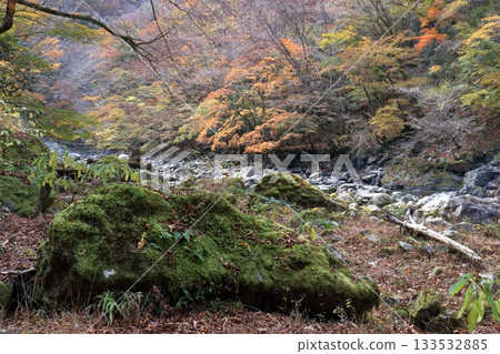 Befu Gorge, a valley at the source of the Monobe River (Kami City, Kochi Prefecture) 133532885