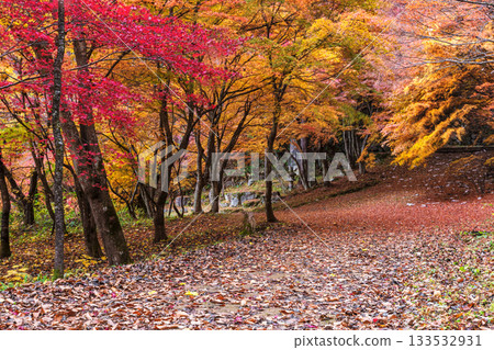 251118 城山公園 z022 251118 城山公園 z022 133532931