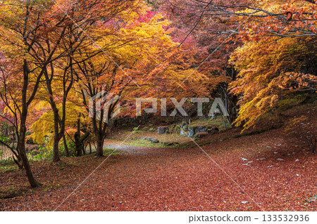 251118 Shiroyama Park z043 133532936