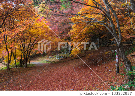 251118 Shiroyama Park z046 133532937