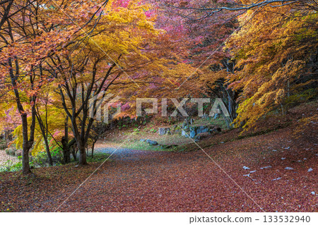 251118 城山公園 z053 133532940