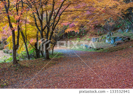 251118 Shiroyama Park z055 251118 Shiroyama Park z055 133532941