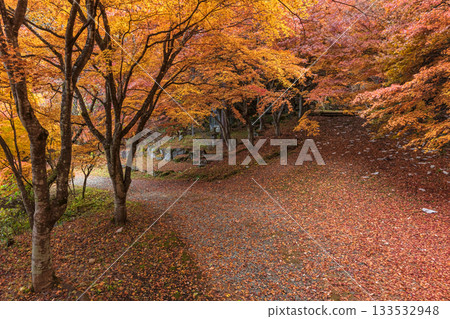 251118 Shiroyama Park z070 133532948