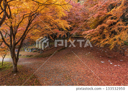 251118 Shiroyama Park z077 133532950