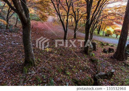 251118 Shiroyama Park z141 133532968