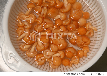 水中的滑子菇 133533672