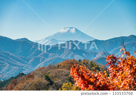  Fuji and Mt. Fuji 133533708