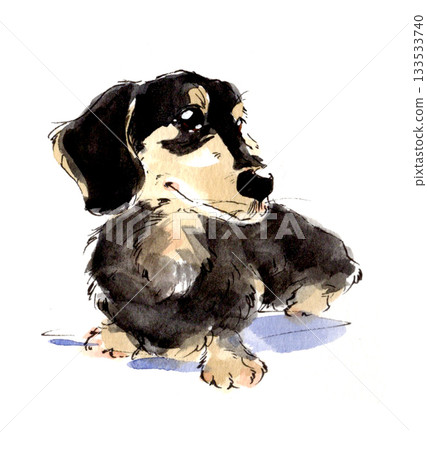 水彩迷你臘腸犬 水彩迷你臘腸犬 133533740