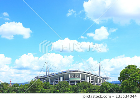 Toyota Stadium, Toyota City, Aichi Prefecture Toyota Stadium, Toyota City, Aichi Prefecture 133534044