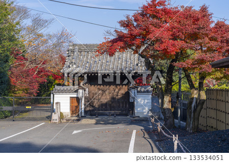 Kyoto Shoren-in Temple Fukutokumon Gate Autumn leaves season 133534051