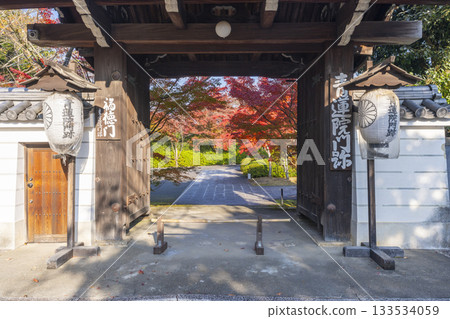 Kyoto Shoren-in Temple Fukutokumon Gate Autumn leaves season Kyoto Shoren-in Temple Fukutokumon Gate Autumn leaves season 133534059