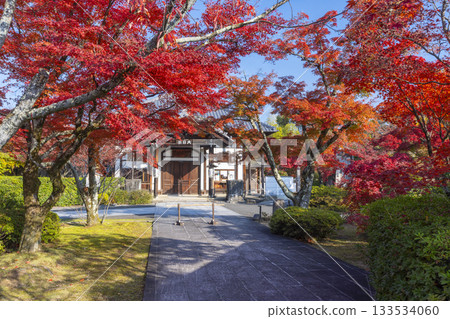 京都將軍塚青龍殿大日殿秋季賞楓季 133534060