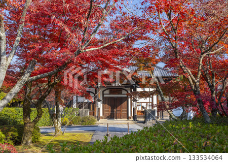 京都將軍塚青龍殿大日殿秋季賞楓季 133534064