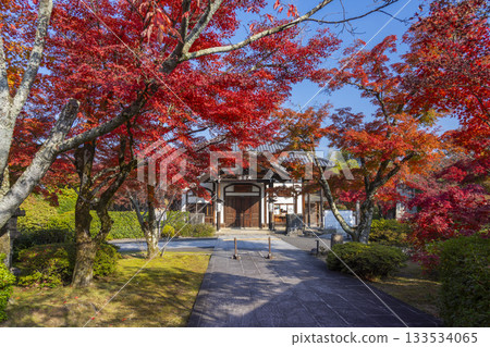 京都將軍塚青龍殿大日殿秋季賞楓季 133534065
