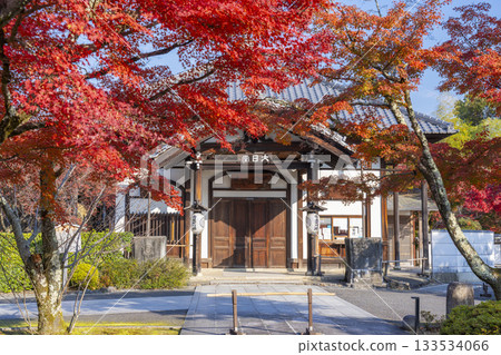 京都將軍塚青龍殿大日殿秋季賞楓季 133534066