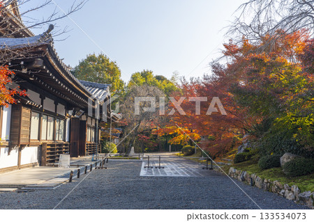 京都將軍塚青龍殿的秋葉季 京都將軍塚青龍殿的秋葉季 133534073