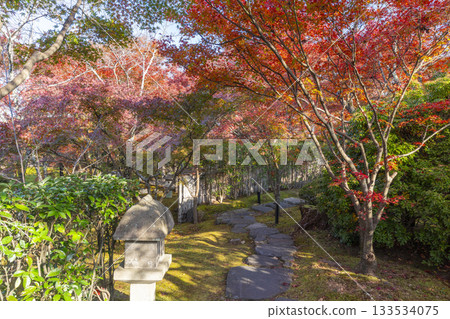 京都將軍塚青龍殿日本庭園秋季賞楓季 133534075
