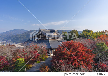 將軍塚青龍殿：秋季紅葉時分從西展望台眺望的景色 133534077