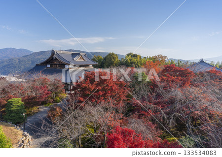 將軍塚青龍殿：秋季紅葉時分從西展望台眺望的景色 133534083