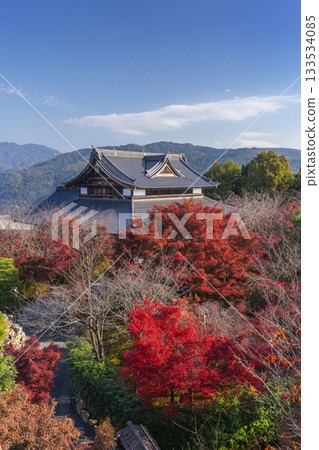 將軍塚青龍殿：秋季紅葉時分從西展望台眺望的景色 133534085