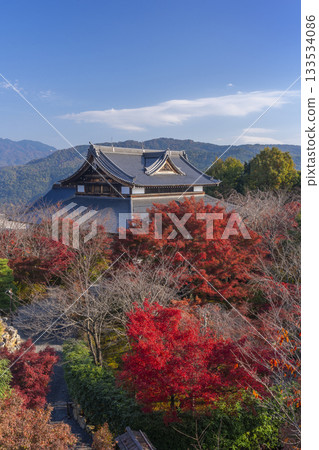 將軍塚青龍殿：秋季紅葉時分從西展望台眺望的景色 133534086