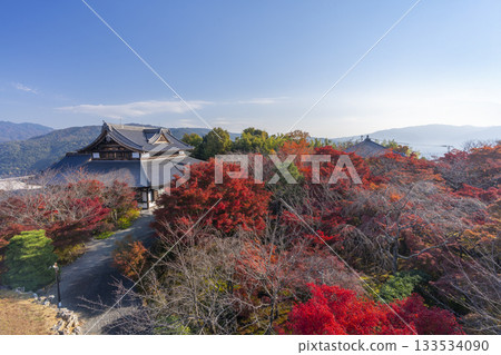 Shogunzuka Seiryuden: View from the West Observatory during the autumn foliage season 133534090