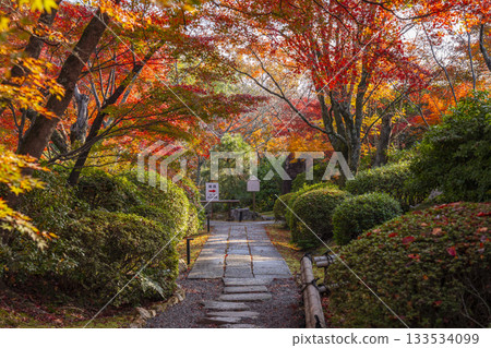 京都將軍塚青龍殿日本庭園秋季賞楓季 133534099