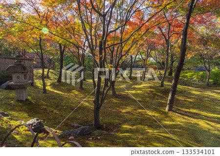 京都將軍塚青龍殿日本庭園秋季賞楓季 133534101