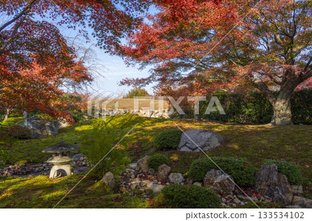 京都將軍塚青龍傳將軍塚秋葉季 133534102